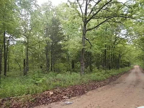000 County Road 522, Gainesville, MO 65655 photo 43