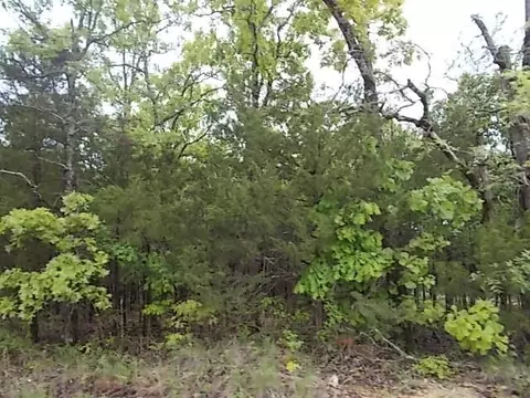 000 County Road 522, Gainesville, MO 65655 photo 23
