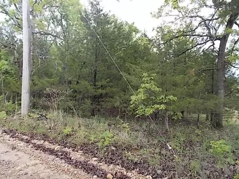 000 County Road 522, Gainesville, MO 65655 photo 28