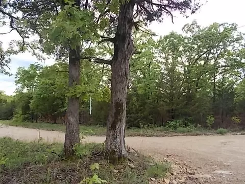 000 County Road 522, Gainesville, MO 65655 photo 26