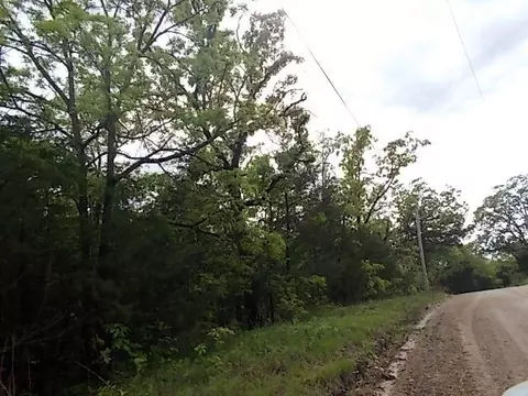000 County Road 522, Gainesville, MO 65655 photo 21