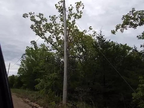 000 County Road 522, Gainesville, MO 65655 photo 27