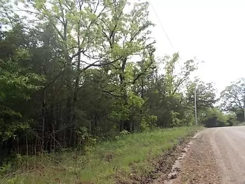 000 County Road 522, Gainesville, MO 65655 photo 19