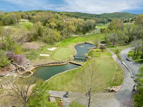View/Area - 5 Bermuda Dr #5, Branson West, MO 65737 photo 9 of 12