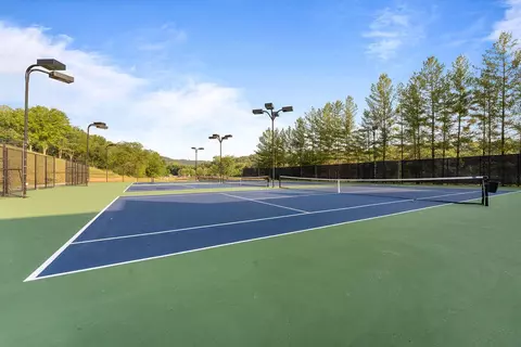 View/Area - 5 Bermuda Dr #5, Branson West, MO 65737 photo 11 of 12