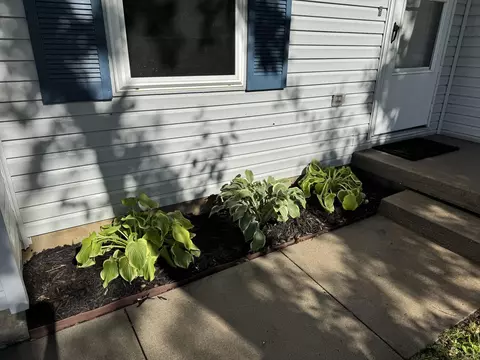 202 Rice St, Nixa, MO 65714 photo 11