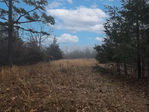 000 Stave Mill Rd, Cabool, MO 65689 photo 2