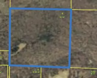 000 Stave Mill Rd, Cabool, MO 65689 photo 5