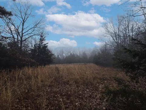 000 Stave Mill Rd, Cabool, MO 65689 photo 3