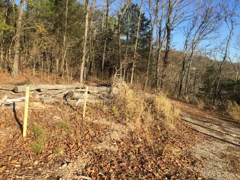 10 Acres Stallion Bluff Rd, Shell Knob, MO 65747 photo 4