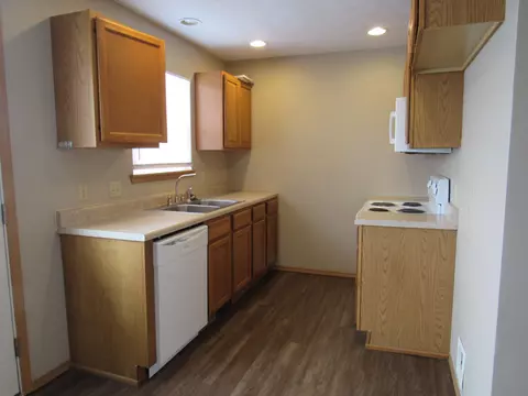 203 Spruce Ave, Clever, MO 65631 photo 6