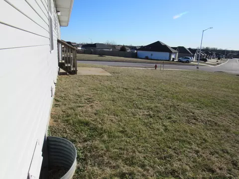 203 Spruce Ave, Clever, MO 65631 photo 25