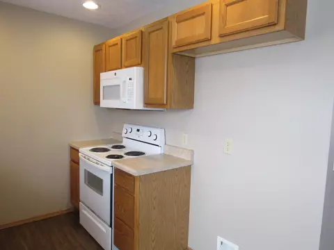 203 Spruce Ave, Clever, MO 65631 photo 8