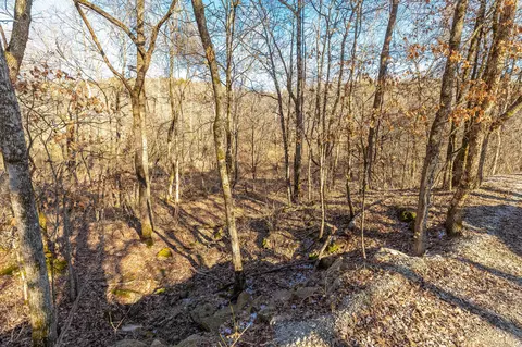 0 Kessler Dr, Walnut Shade, MO 65771 photo 5