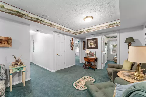 Entry Way - 143 Arizona Dr, Branson, MO 65616 photo 10 of 10
