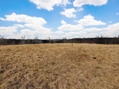 12428 State Highway Ak, Ava, MO 65608 photo 23