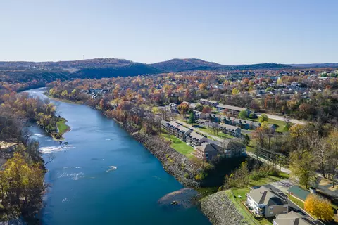 40 Scenic Ct #10, Branson, MO 65616 photo 35