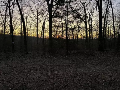 0 Huckleberry Rd, Strafford, MO 65757 photo 5