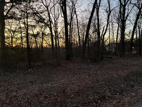 0 Huckleberry Rd, Strafford, MO 65757 photo 4
