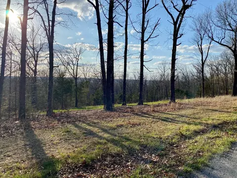 0 Huckleberry Rd, Strafford, MO 65757 photo 3