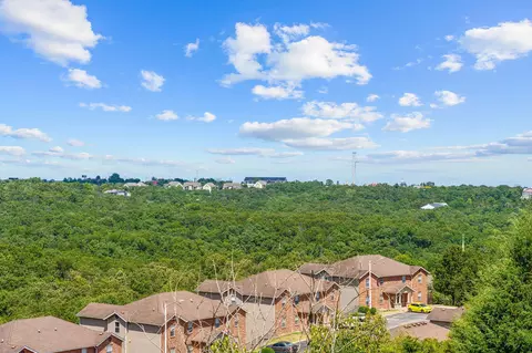 View/Area - 3008 N Vineyards Ter #1, Branson, MO 65616 photo 3 of 3