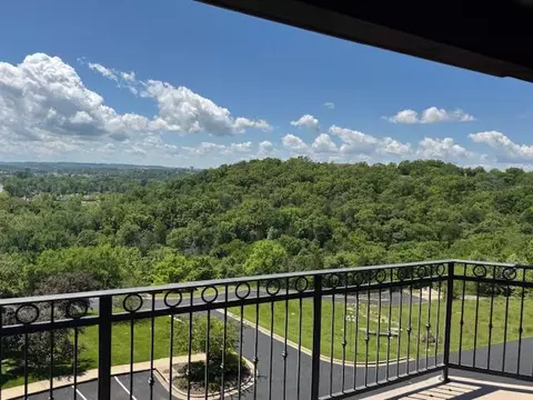 1413 Riverstone Dr, Branson, MO 65616 photo 34