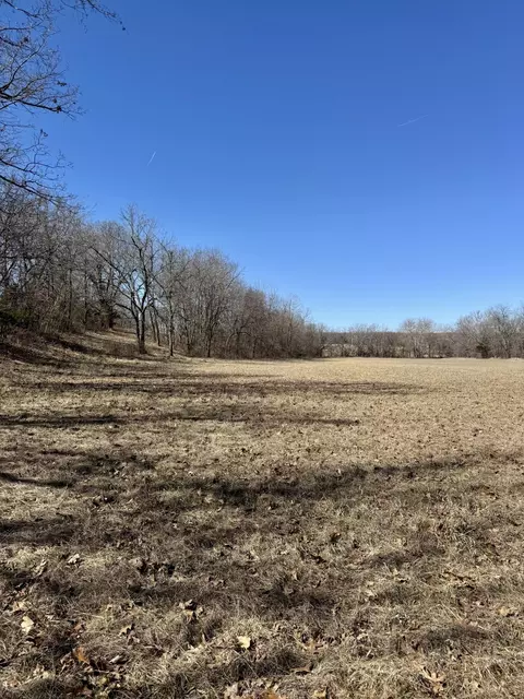 000 Tbd State Hwy Cc, Marshfield, MO 65706 photo 58