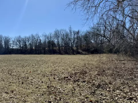 000 Tbd State Hwy Cc, Marshfield, MO 65706 photo 59