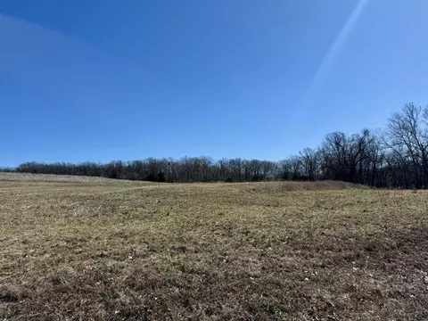 000 Tbd State Hwy Cc, Marshfield, MO 65706 photo 6