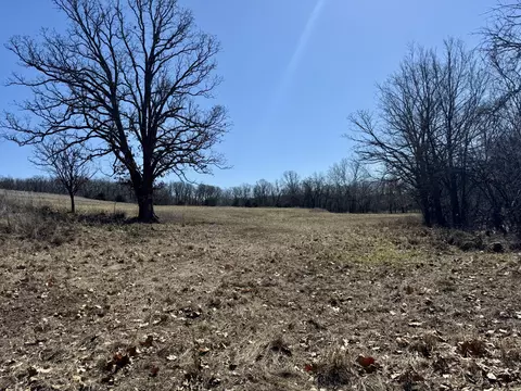 000 Tbd State Hwy Cc, Marshfield, MO 65706 photo 48