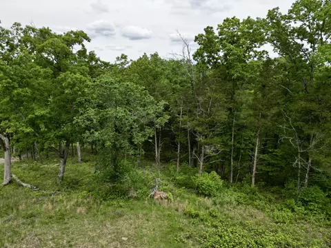 152 Shinnecock Hills Dr, Branson, MO 65616