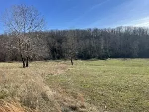 Tract 7c Route 4, Squires, MO 65755 photo 3
