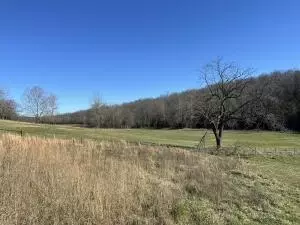 Tract 7c Route 4, Squires, MO 65755 photo 2