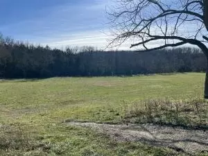 Tract 7c Route 4, Squires, MO 65755 photo 4