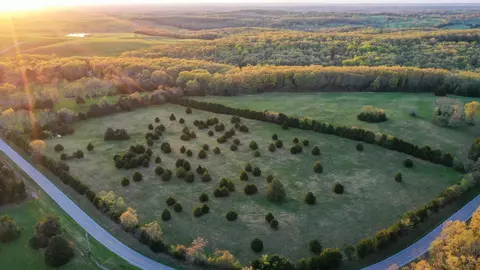 View/Area - 2789 Highway Jj, Squires, MO 65755 photo 4 of 6