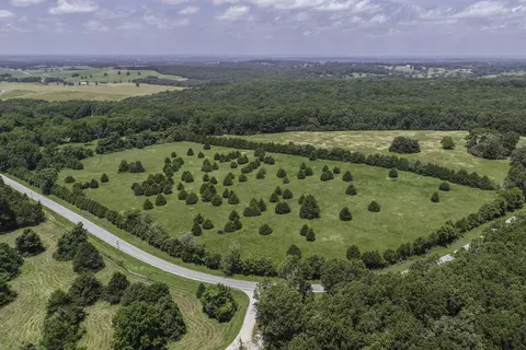 View/Area - 2789 Highway Jj, Squires, MO 65755 photo 5 of 6