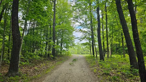 Other - 2789 Highway Jj, Squires, MO 65755 photo 2 of 23