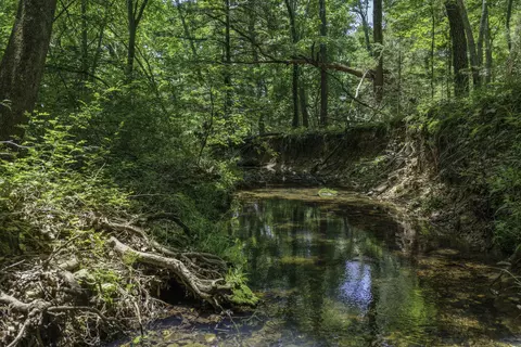 Other - 2789 Highway Jj, Squires, MO 65755 photo 15 of 24
