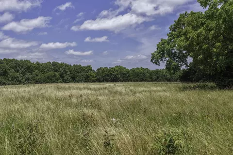 Other - 2789 Highway Jj, Squires, MO 65755 photo 18 of 24