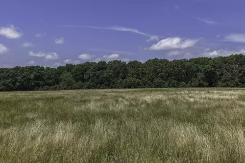 Other - 2789 Highway Jj, Squires, MO 65755 photo 6 of 24