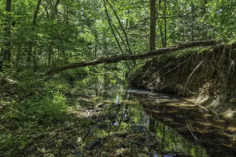 Other - 2789 Highway Jj, Squires, MO 65755 photo 20 of 24