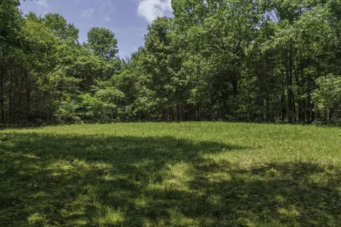 Exterior - 2789 Highway Jj, Squires, MO 65755 photo 9 of 11