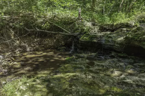 Other - 2789 Highway Jj, Squires, MO 65755 photo 16 of 24