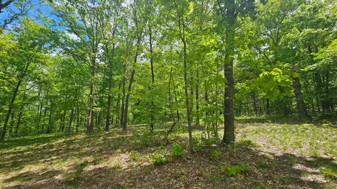 Exterior - 2789 Highway Jj, Squires, MO 65755 photo 9 of 11