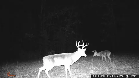 Other - 2789 Highway Jj, Squires, MO 65755 photo 21 of 23