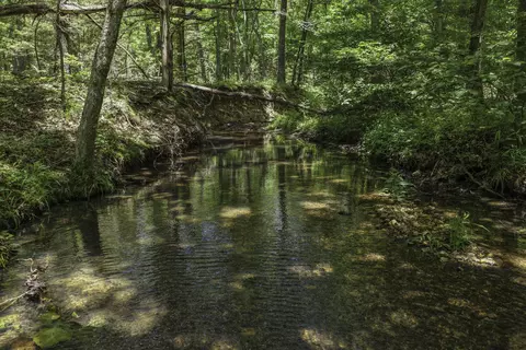 View/Area - 2789 Highway Jj, Squires, MO 65755 photo 3 of 6