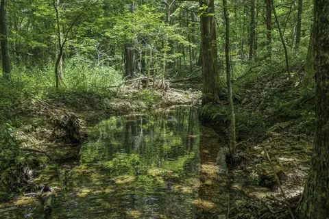 Other - 2789 Highway Jj, Squires, MO 65755 photo 3 of 24