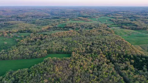 View/Area - 2789 Highway Jj, Squires, MO 65755 photo 5 of 6