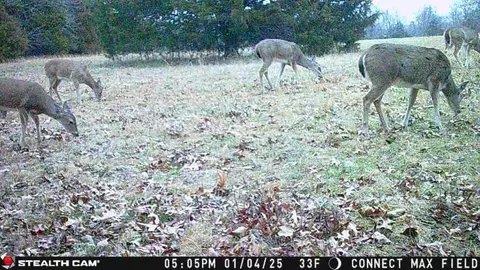Other - 2789 Highway Jj, Squires, MO 65755 photo 22 of 23