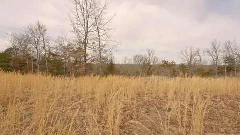 lot22 Oakridge Dr, Gepp, AR 72538